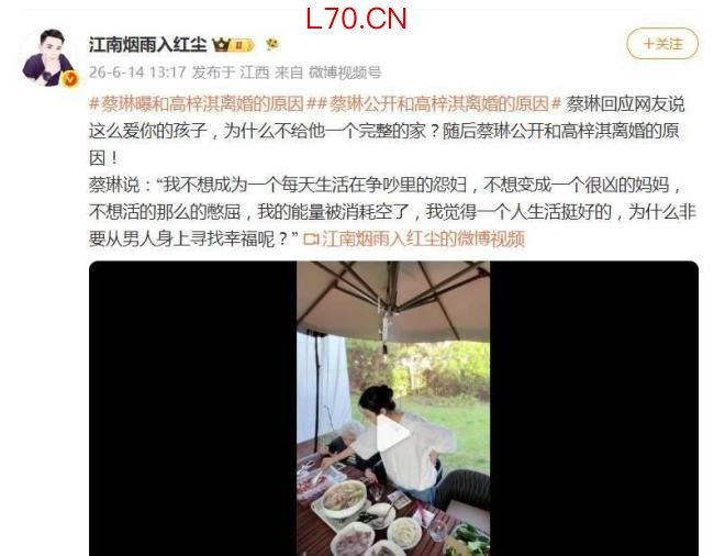 韩女星蔡琳自曝和高梓淇离婚原因 不愿成为争吵中的怨妇